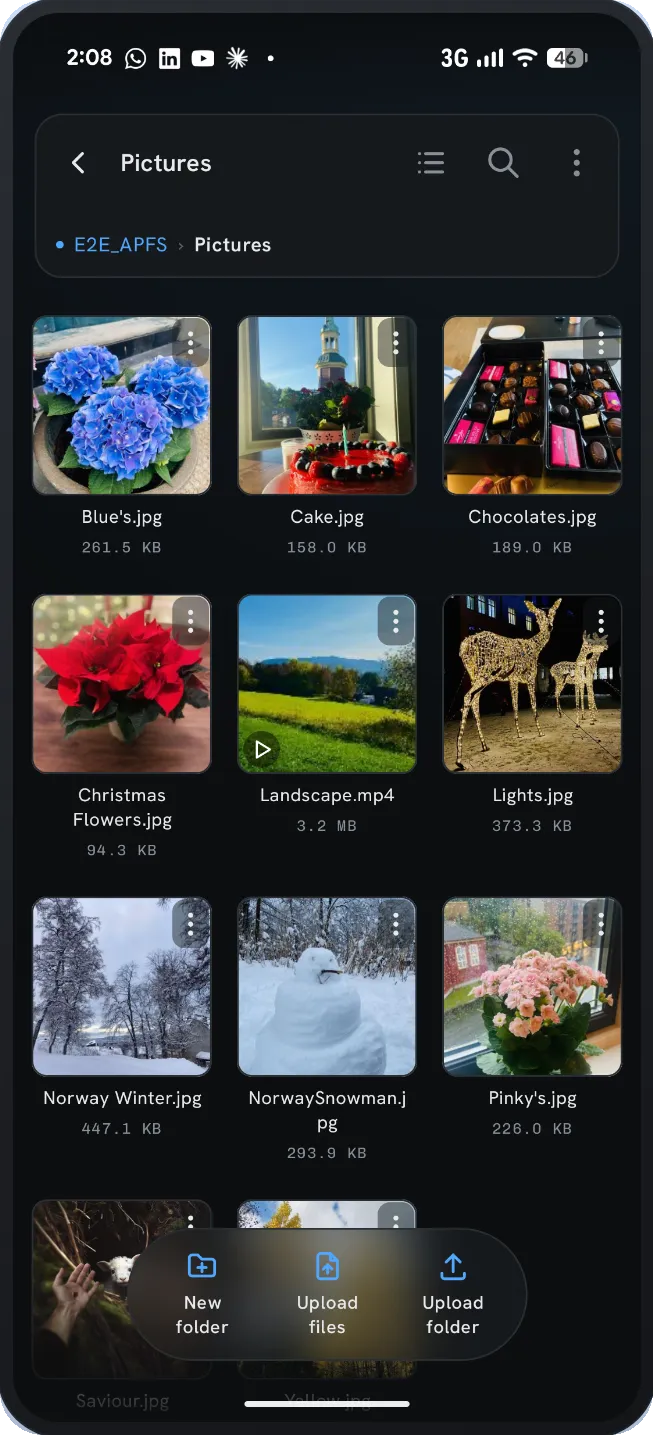 Browsing photos and videos on an APFS Mac drive as a thumbnail grid in APFS Reader.